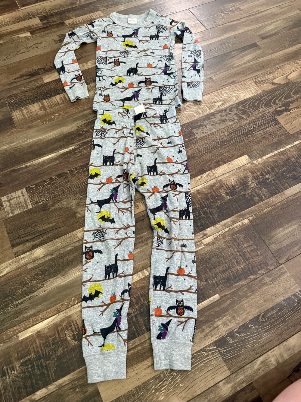 Hanna Andersson Gray Halloween Pajama Set with Black Cats & Orange Pumpkins